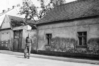 Vejprnice
