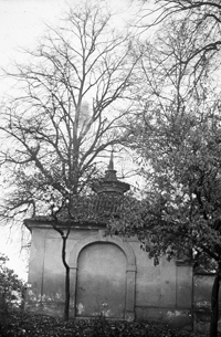 Vejprnice