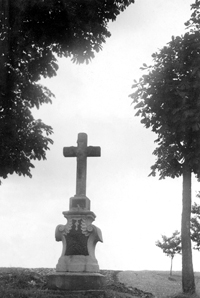 Vejprnice