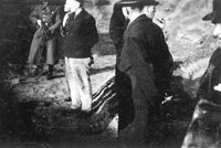 Vejprnice
